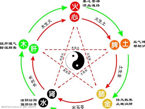 木和水 五行|水与木 的关系？